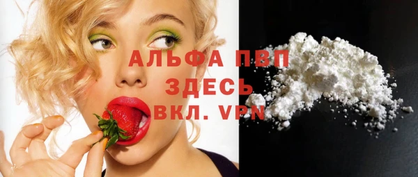 шишки Богданович