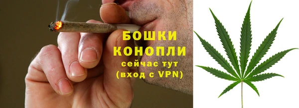 шишки Богданович