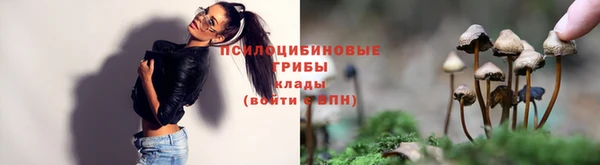 винт Богородск