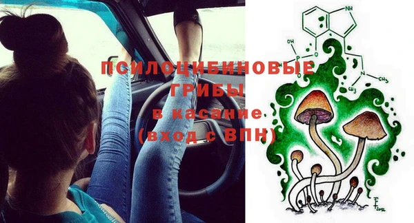 шишки Богданович