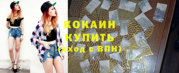 шишки Богданович