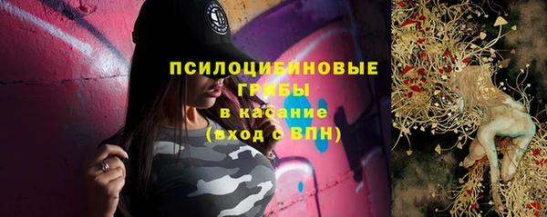 шишки Богданович