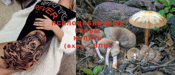 шишки Богданович