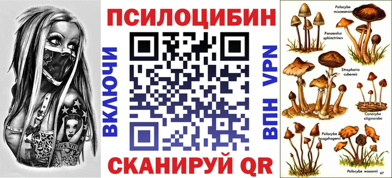 Купить  Лаишево  Псилоцибиновые грибы GOLDEN TEACHER 